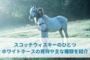 スコッチウィスキーのひとつホワイトホースの発祥や主な種類を紹介