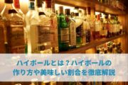 ハイボールとは？ハイボールの作り方や美味しい割合を徹底解説